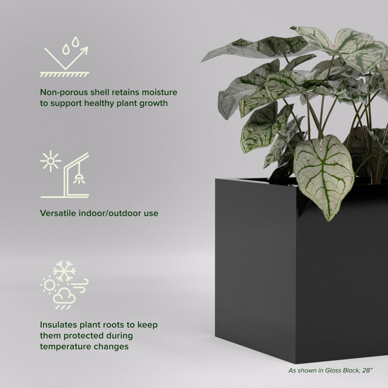 Greenline Fiberglass Jack Medium Indoor/Outdoor Square Cube Planter, Gloss Black, 12" H x 12" W x 12" D