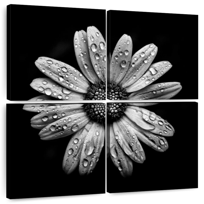 Harnek Backyard Flowers BW I, H 26 po x l 26 po