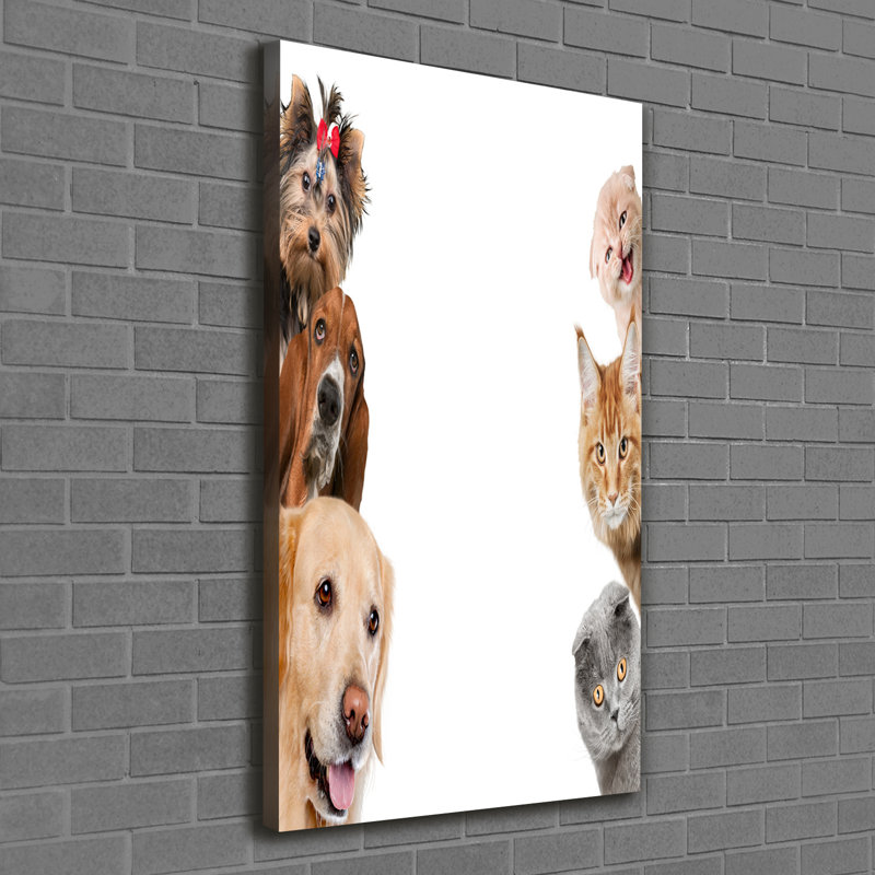 Dogs And Cats - Wrapped Canvas Print