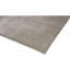 Hand Knotted Silk Area Rug in Beige