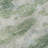 Premium Machine Washable Freixa AMF71 Green Rug-1708512304