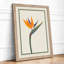 Bird of Paradise Botanical - Framed Print-327675636-327675641