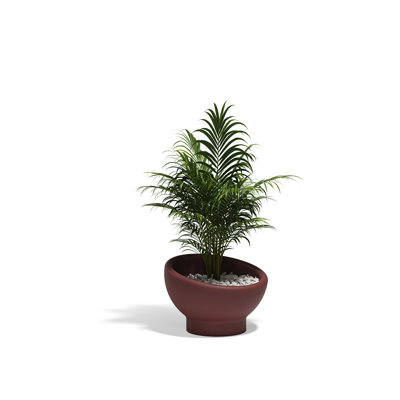 Luna Planter