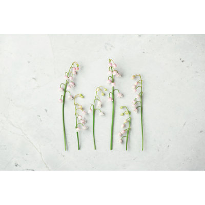 May Bell Blooms by Felicity Bradley - Wrapped Canvas Print