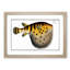 Pufferfish by M.E. Bloch - Framed Print-55602034-55602039