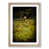 Oak Framed selected