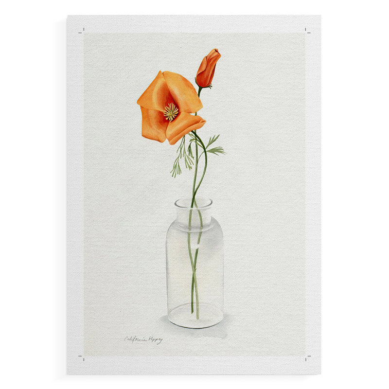 California Poppy Vase I - Impression sur toile seulement - NON CADRE, H 48 po x l 32 po