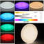 1-Light Flush Mount