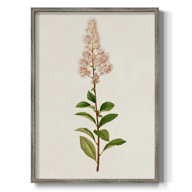 Mauve Garden Flowers II, reproduction encadrée - bois massif, H 15 po x l 12 po