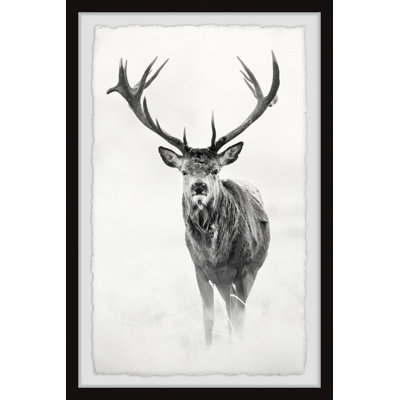 'Elk Stare II' Framed Print on Paper