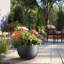 Pot à fleurs en ciment Highwoods-1168435960-1168435958