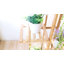 Louisburg Weather Resistant Plant Stand-1174271303