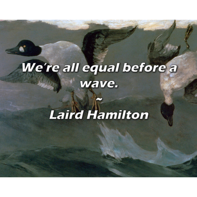Citation de Laird Hamilton: Nous sommes tous égaux devant une vague.