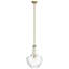 Suspension Kichler Everly en laiton naturel de 38,7 cm (15,25 po) à une lumière avec abat-jour transparent en forme de larme-1254475800-1254441226-1215380878