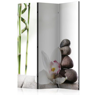 Cloey Folding Room Divider