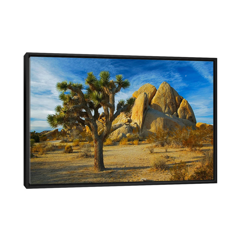 «Joshua Tree & Inselberg», reproduction de photo sur toile, H 18 po x l 26 po x P 1,5 po, Toile avec cadre noir, Pas de tapis