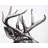 White Bedroom Rustic Polyester Placemat - Roe Deer Plume Decor