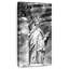 Liberté monochrome