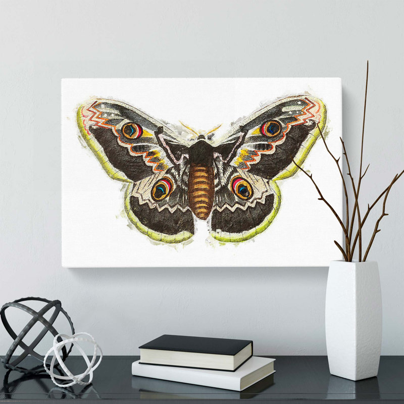 Great Peacock Moth by George Shaw - Wrapped Canvas, 40cm H x 60cm W x 3cm D