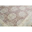 Ziegler Wool Oriental Area Rug