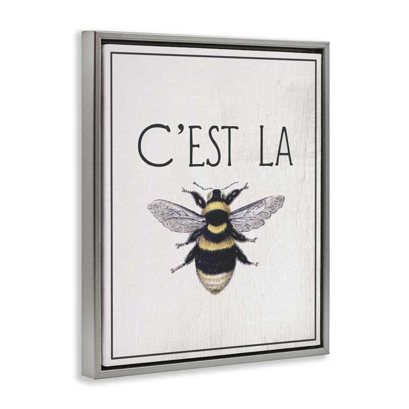 Cadre flottant French Bee, par Lil 'Rue, H 21 po x l 17 po, Cadre flottant gris lustré
