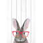 Cryal hippie lapin imprimé sur bois blanc-2110113953