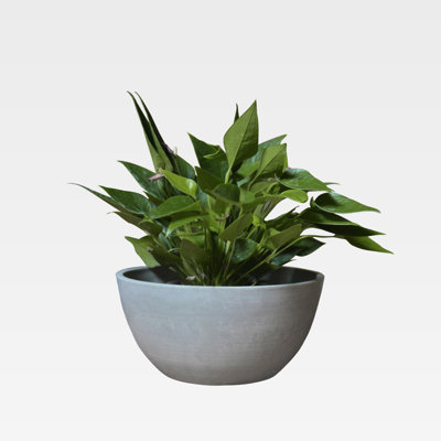 Pot à fleurs en plastique