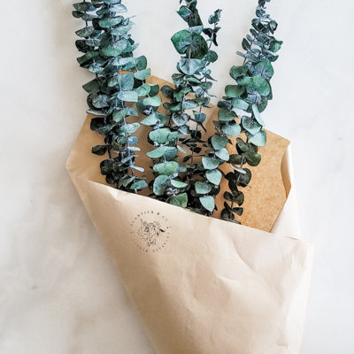 Bouquet de buissons d'eucalyptus
