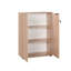 Denoris 2 -Door 3 -Shelf