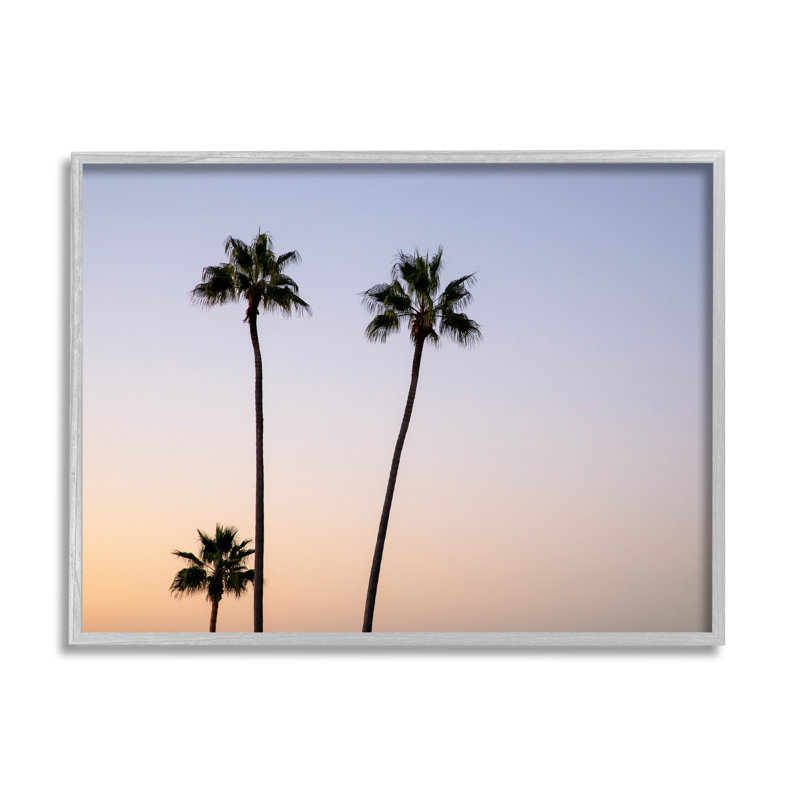 Gray Framed Tropical Palm Trees Sunrise Sunset Photography Wall Art