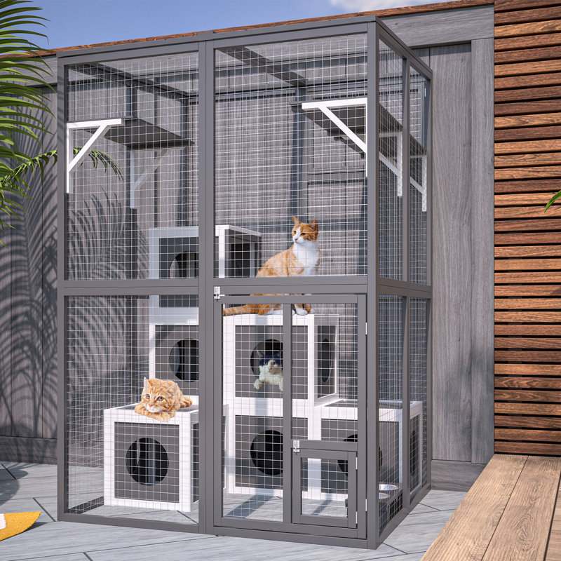 Enclos pour animaux spacieux à plusieurs niveaux avec cubes confortables et accès à trois portes pour plusieurs types d'animaux
