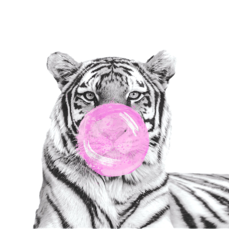 Tiger Blowing Bubble - Wrapped Canvas Print, 122cm H x 122cm W x 3.8cm D