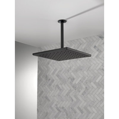 Delta 12-inch Single-Spray Raincan Shower Head
