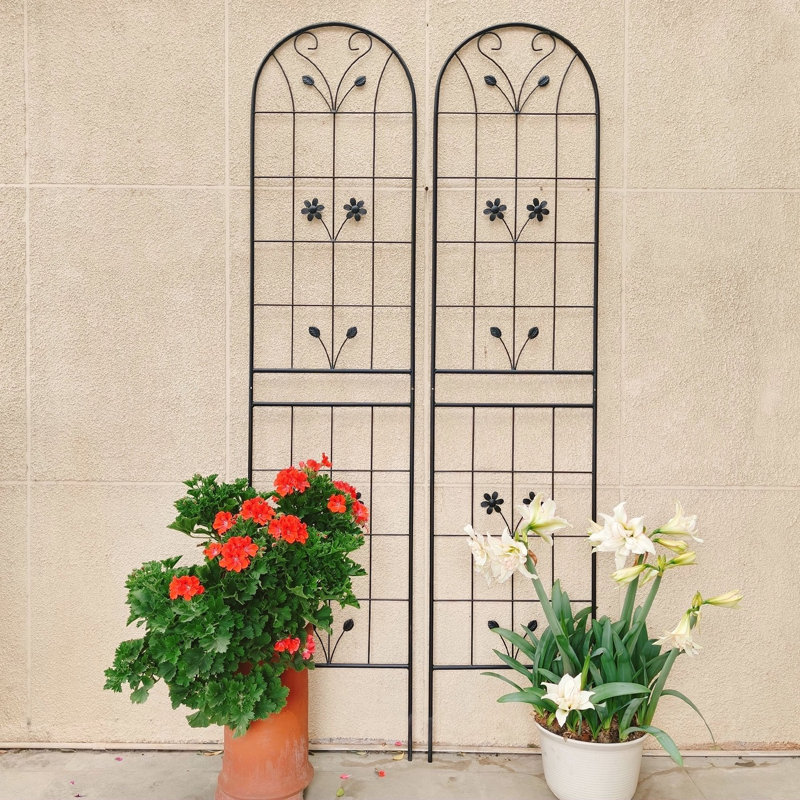 Paquet de 4 treillis de jardin en métal 86,7 "x 19,7" antirouille pour plantes grimpantes support de fleurs extérieur noir