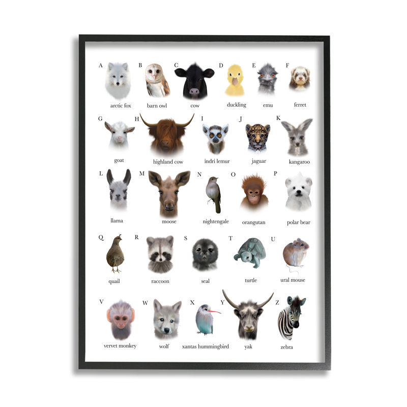 Carte alphabétique des animaux sauvages - Impression sur toile, H 14 po x l 11 po, Giclée encadrée noir minuit