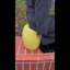 Tabouret jaune citron, table d'appoint surdimensionnée en résine de 14 po et support à plante, décoration de jardin Art déco