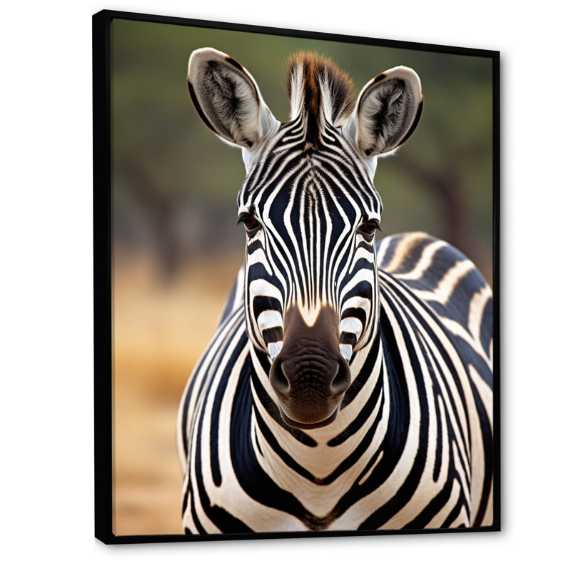 " Zebra Zebra Patterns In ", Black, 20" H x 12" W x 1" D