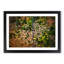Separating the Forest - Picture Frame Graphic Art Print-55762171-55762172