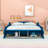 Race Car-Shaped Platform Bed with Shelves-1556231195-1556231268