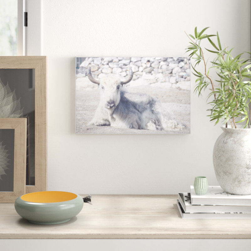 Parvez Taj - Single Picture Frame Print, 41cm H x 61cm W x 3.81cm D
