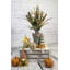 Arrangement de récolte d'automne-24487979