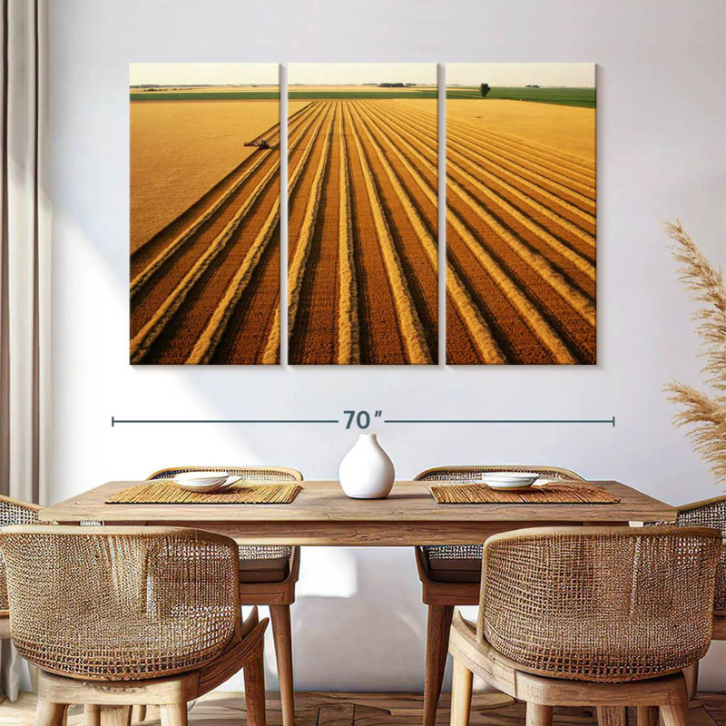 Wheat Field Lines