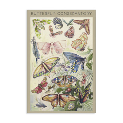 Butterfly Conservatory Insects Canvas, design by Diannart