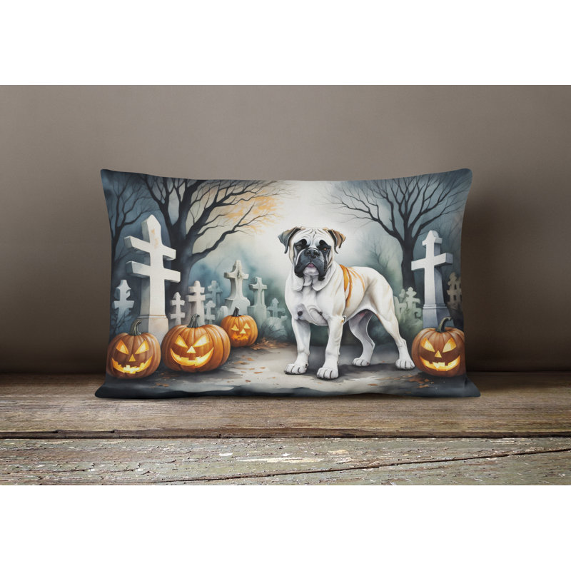 Other/No Pattern Outdoor Throw Pillow
