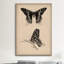 Art animalier, papillon rétro, impression sur toile tendue-74270138-10915312-74270139