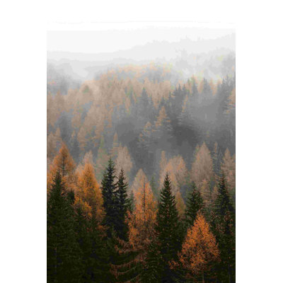 Arbres brumeux en vert et jaune