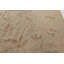 Tapis beige à motif floral moderne à motif d'aiguille 5 pi 10 po x 8 pi 9 po Modern