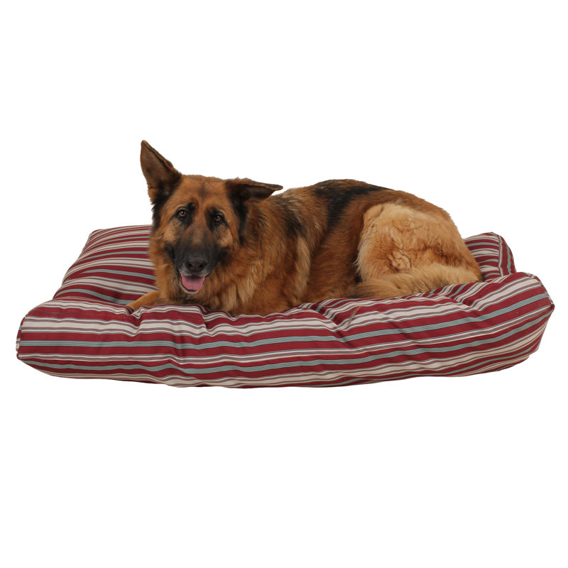 Lit pour chien rayé intérieur / extérieur, Moyen (l 48 po x P 36 po x H 4 po)