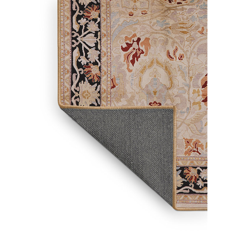 Petrus Oriental Indoor Rug, Rectangle 2' x 3'