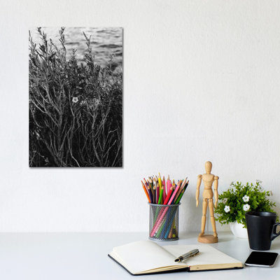 Tenaya Lake, Yosemite National Park II by Bethany Young - Print on Canvas